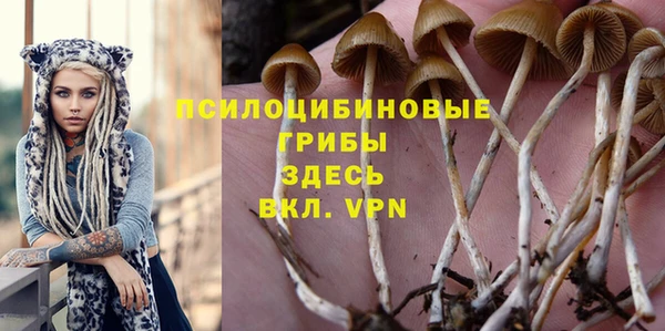 молекула духа Алексеевка