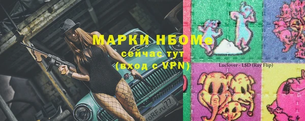 СК Алексин
