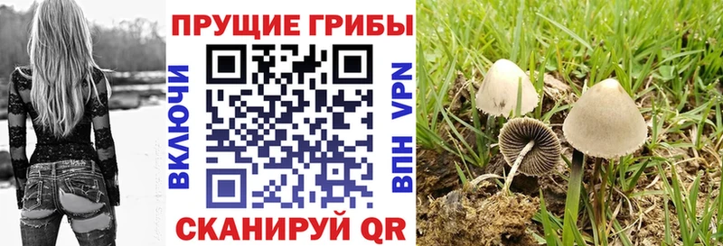 мориарти состав  Алдан  Галлюциногенные грибы прущие грибы 